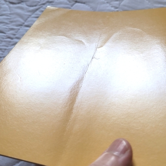 3/$15 🌸 Snoopy & Friends: Come Back, Snoopy - Picture 4 of 9